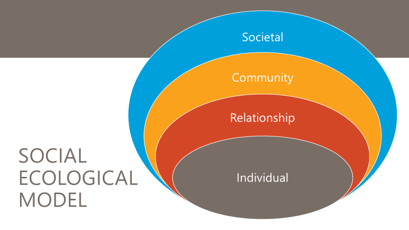 Social Ecological Model