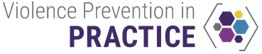 Violence Prevention in Practice